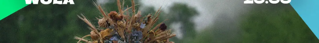 Wolne Żarty!