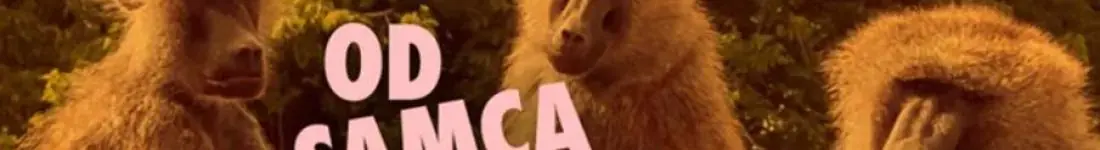 Od Samca Alfa po Samca Sigmę: alfabet najgorszych typów - spektakl impro