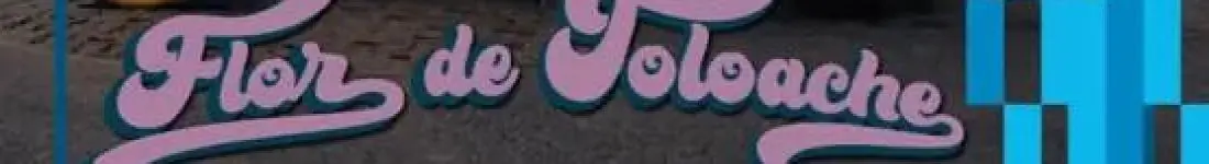 Marcin Kydryński prezentuje: Siesta w drodze - Flor de Toloache