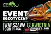 ZooEgzotyka