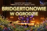 Dreamlive Concerts: Koncerty przy świecach