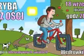 Jesiotr - Komedia z Ikrą