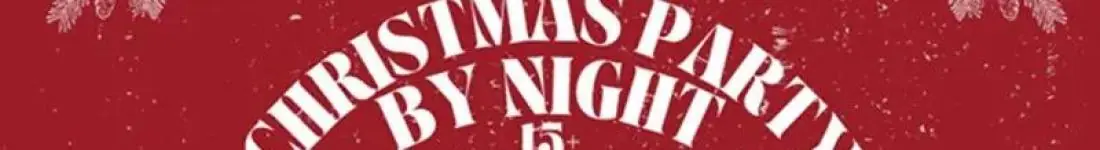 Christmas Party by Night 15+ - Świąteczna Noc Pełna Tańca!