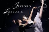 Royal Lviv Ballet - Jezioro Łabędzie - Koszalin