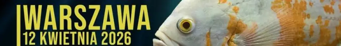 Targi Akwarystyczne Warszawa!
