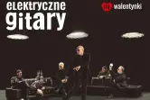 Elektryczne Gitary