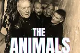 The Animals