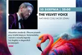 LETNIE GRANIE | THE VELVET VOICE