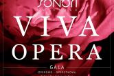 VIVA OPERA. Gala Operowo-Operetkowa z okazji Dnia Matki - największe przeboje z oper i operetek - soliści operowi
