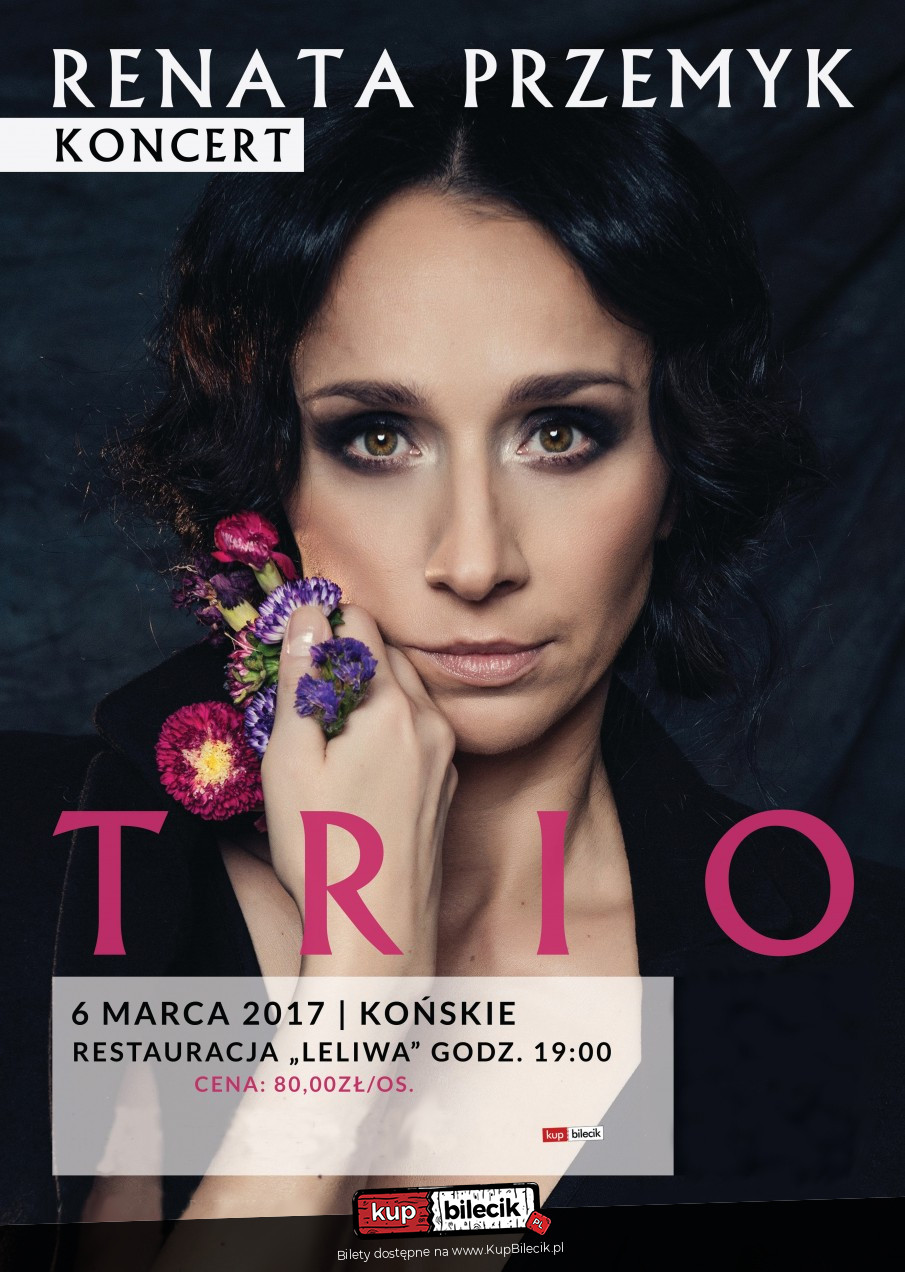 renata przemyk akustik trio renata przemyk akustik trio