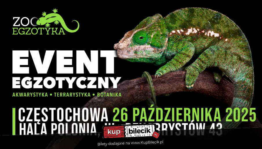 ZooEgzotyka