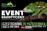 ZooEgzotyka