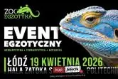 ZooEgzotyka
