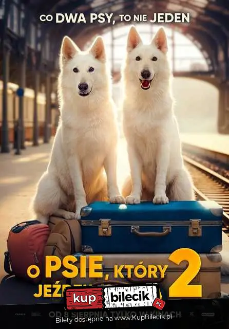 Pokaz Filmowy - Kino Sok
