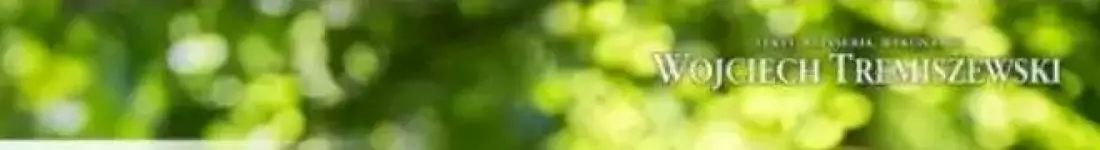 Adama Mickiewicza liryczna próba odnalezienia się w branży rozrywkowej