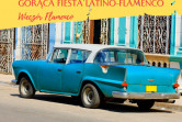 Plakat Wieczór Flamenco 113934