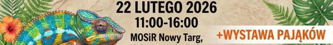 Targi Terrarystyczne Exoticarium + Wystawa Pająków