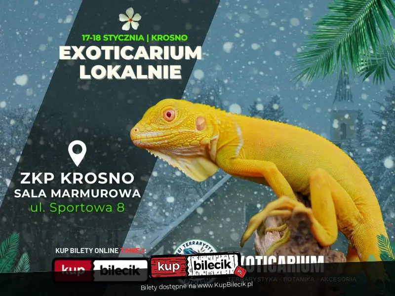 EXOTICARIUM LOKALNIE Targi Terrarystyczne Krosno dwudniowe 17-18 stycznia