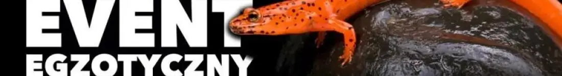 ZooEgzotyka Warszawa!