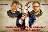 Stand-up Open Mic