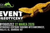 ZooEgzotyka