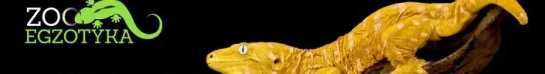 ZooEgzotyka Wrocław